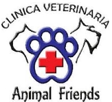 Clinica Veterinaria Animal Friends