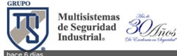Multisistemas Empresariales S.a.c.